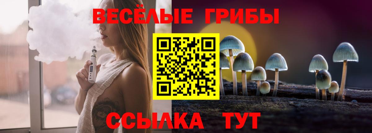 Псилоцибиновые грибы мухоморы  Вход с VPN  Сухой Лог 